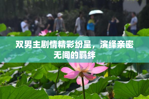 双男主剧情精彩纷呈，演绎亲密无间的羁绊