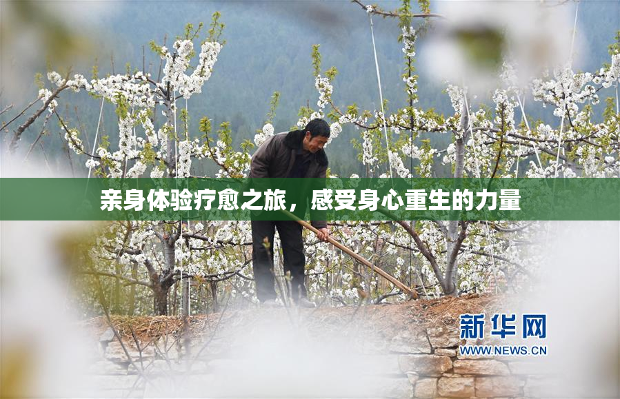 亲身体验疗愈之旅，感受身心重生的力量