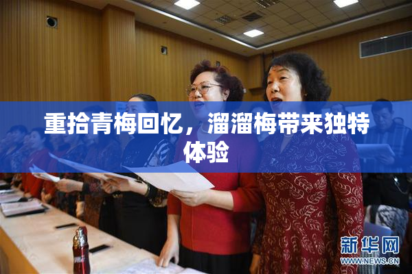 重拾青梅回忆，溜溜梅带来独特体验