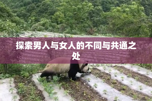 探索男人与女人的不同与共通之处