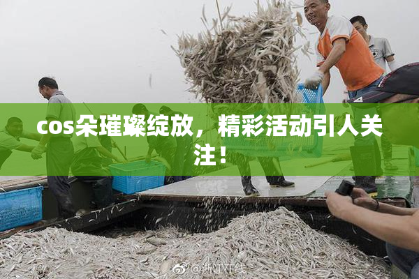 cos朵璀璨绽放，精彩活动引人关注！
