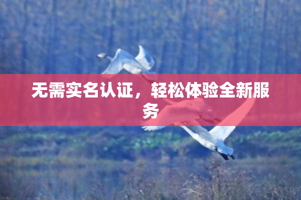 无需实名认证，轻松体验全新服务