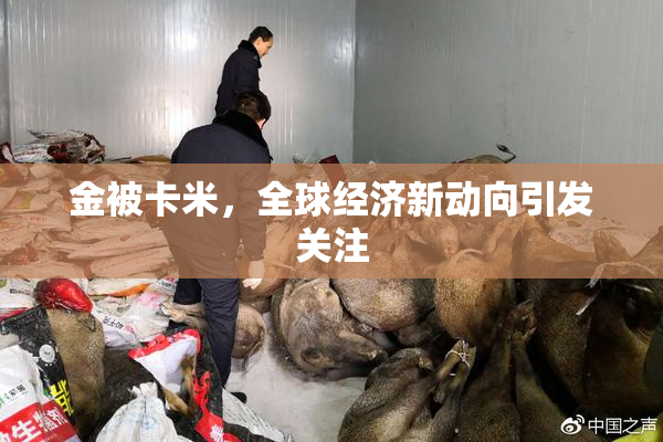 金被卡米，全球经济新动向引发关注