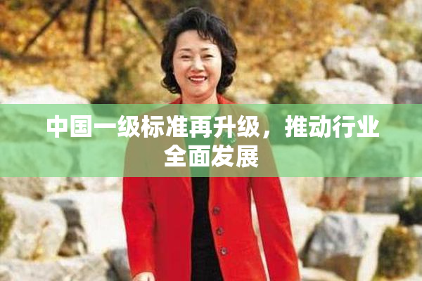 中国一级标准再升级，推动行业全面发展