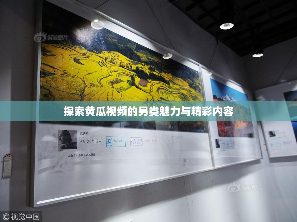 探索黄瓜视频的另类魅力与精彩内容
