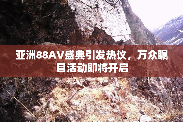 亚洲88AV盛典引发热议，万众瞩目活动即将开启