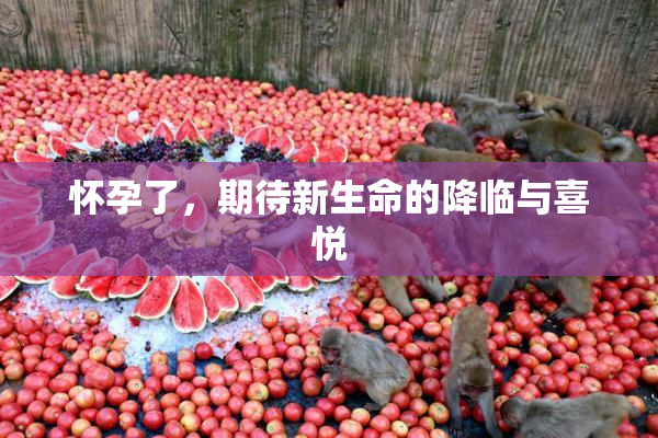 怀孕了，期待新生命的降临与喜悦