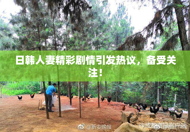 日韩人妻精彩剧情引发热议，备受关注！
