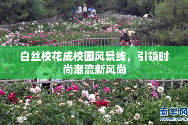 白丝校花成校园风景线，引领时尚潮流新风尚