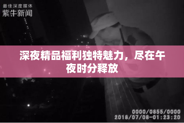 深夜精品福利独特魅力，尽在午夜时分释放
