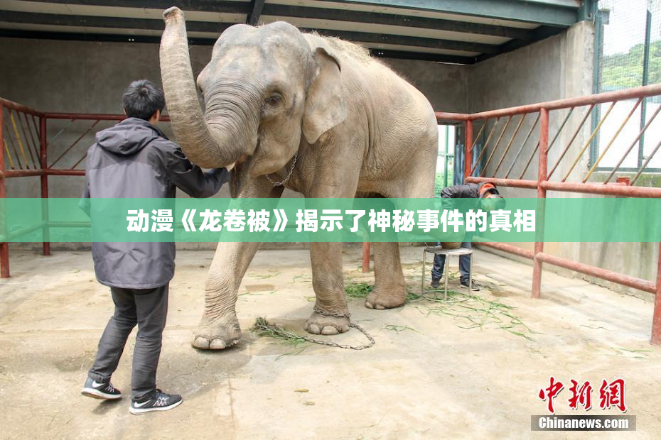 动漫《龙卷被》揭示了神秘事件的真相