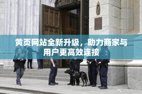 黄页网站全新升级，助力商家与用户更高效连接