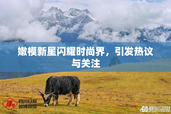 嫩模新星闪耀时尚界，引发热议与关注