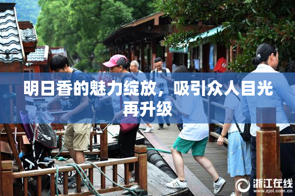 明日香的魅力绽放，吸引众人目光再升级