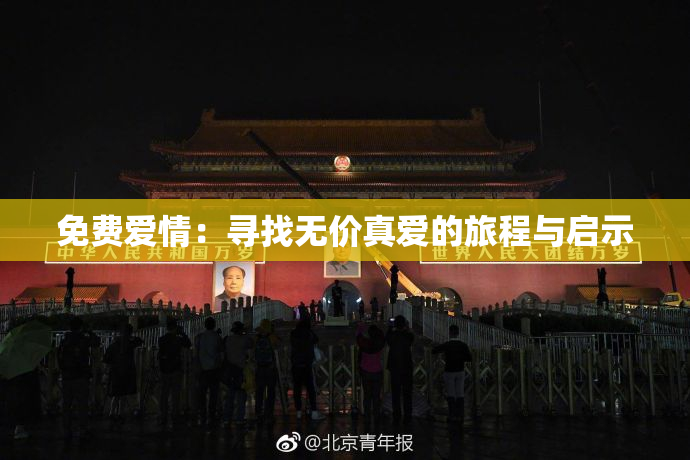 免费爱情：寻找无价真爱的旅程与启示