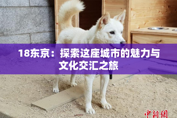 18东京：探索这座城市的魅力与文化交汇之旅