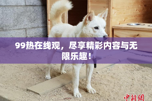 99热在线观，尽享精彩内容与无限乐趣！