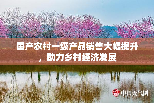 国产农村一级产品销售大幅提升，助力乡村经济发展