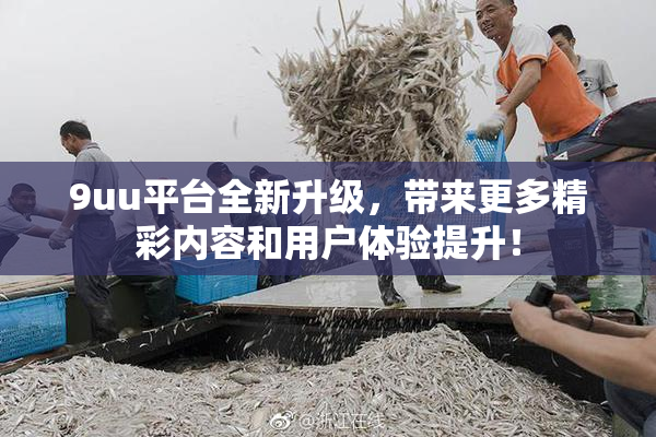 9uu平台全新升级，带来更多精彩内容和用户体验提升！