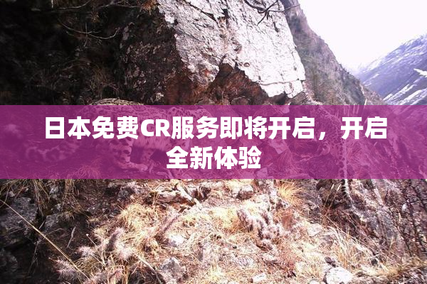 日本免费CR服务即将开启，开启全新体验