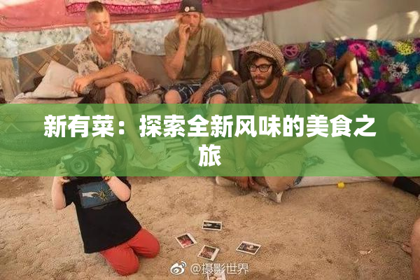 新有菜：探索全新风味的美食之旅