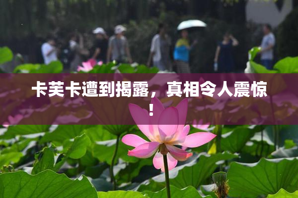 卡芙卡遭到揭露，真相令人震惊！