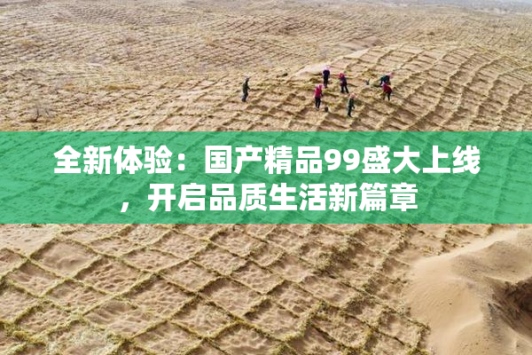 全新体验：国产精品99盛大上线，开启品质生活新篇章
