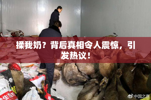 揉我奶？背后真相令人震惊，引发热议！