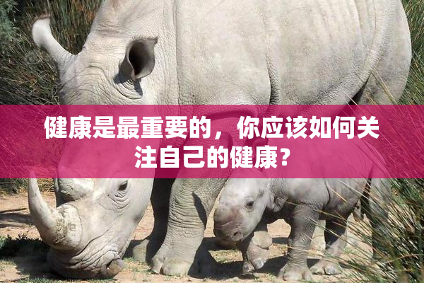 健康是最重要的，你应该如何关注自己的健康？