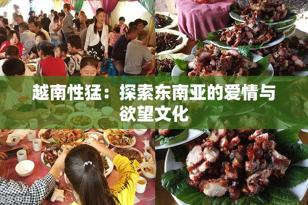 越南性猛：探索东南亚的爱情与欲望文化
