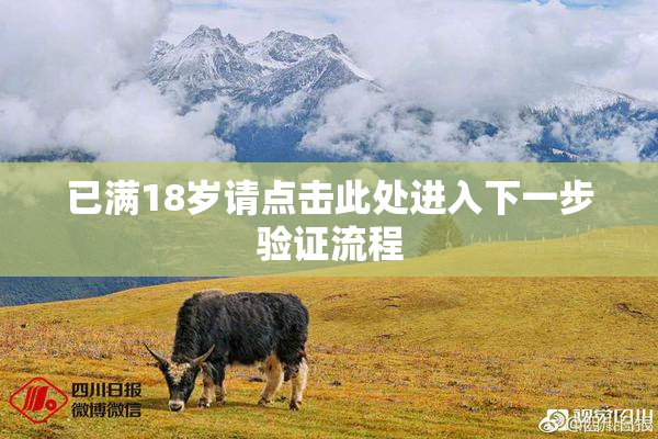已满18岁请点击此处进入下一步验证流程