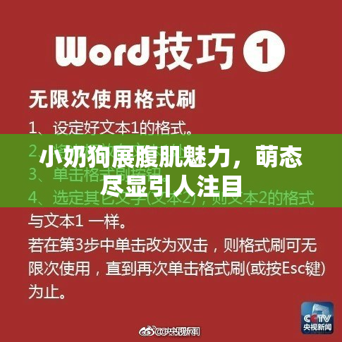 小奶狗展腹肌魅力，萌态尽显引人注目
