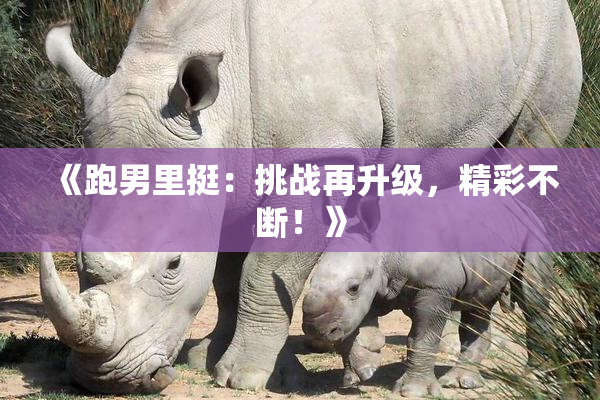 《跑男里挺：挑战再升级，精彩不断！》