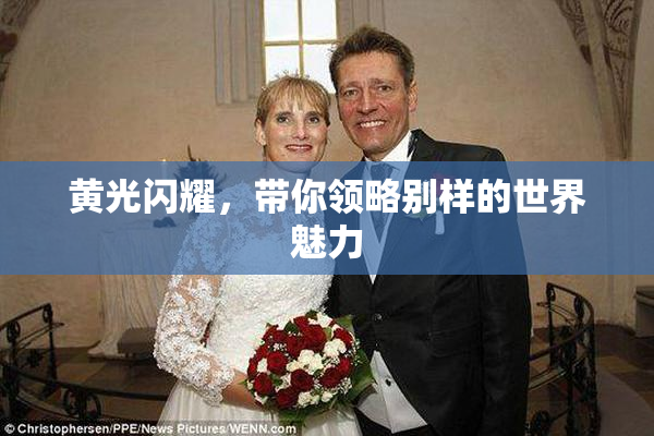 黄光闪耀，带你领略别样的世界魅力