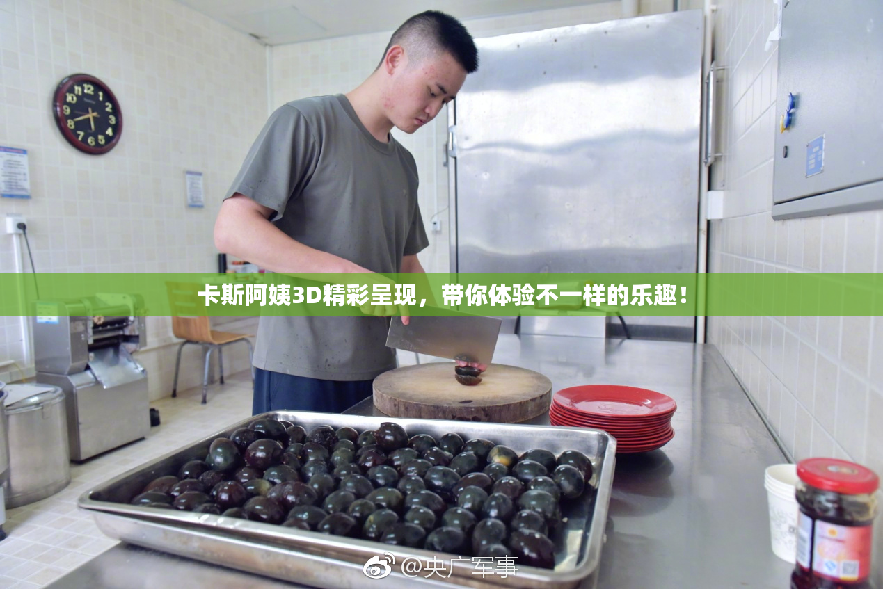 卡斯阿姨3D精彩呈现，带你体验不一样的乐趣！