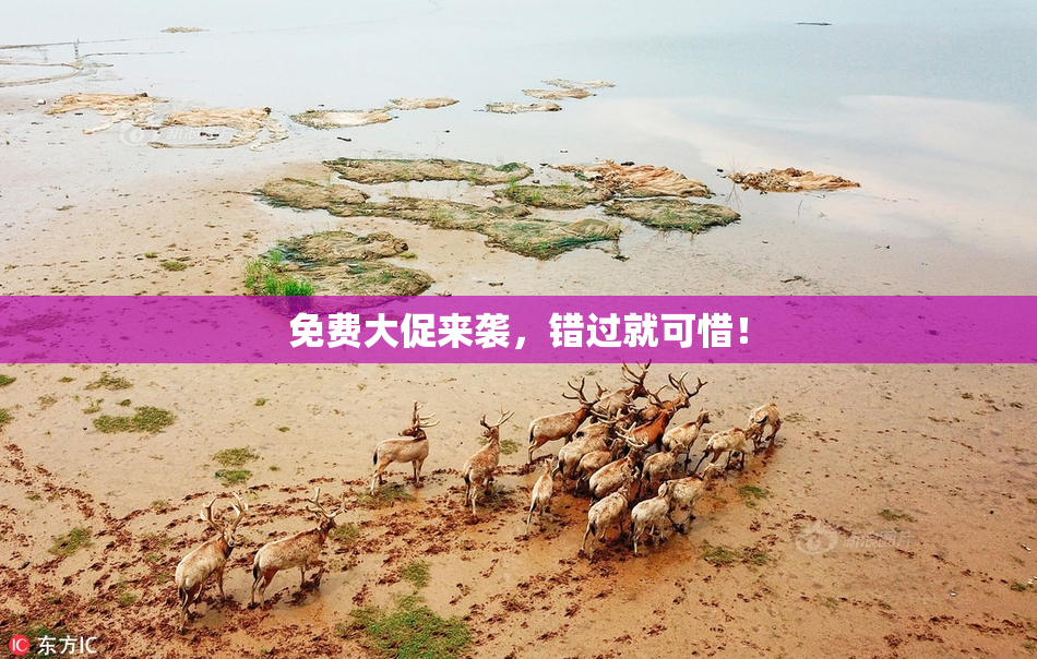 免费大促来袭，错过就可惜！