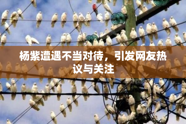 杨紫遭遇不当对待，引发网友热议与关注
