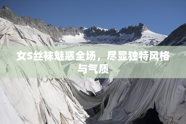 女S丝袜魅惑全场，尽显独特风格与气质