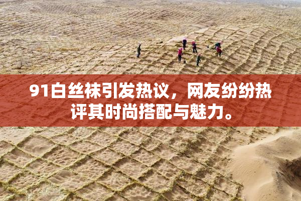91白丝袜引发热议，网友纷纷热评其时尚搭配与魅力。