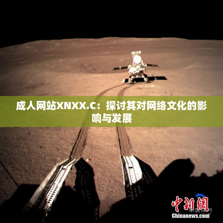 成人网站XNXX.C：探讨其对网络文化的影响与发展