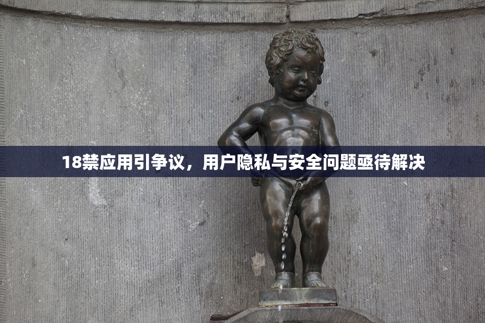 18禁应用引争议，用户隐私与安全问题亟待解决