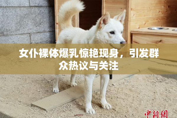 女仆裸体爆乳惊艳现身，引发群众热议与关注