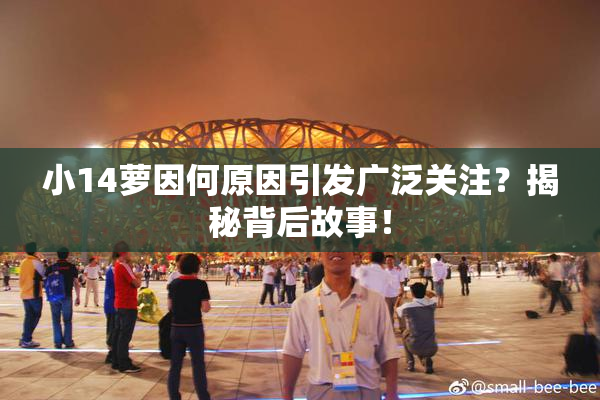 小14萝因何原因引发广泛关注？揭秘背后故事！