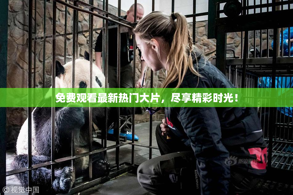 免费观看最新热门大片，尽享精彩时光！