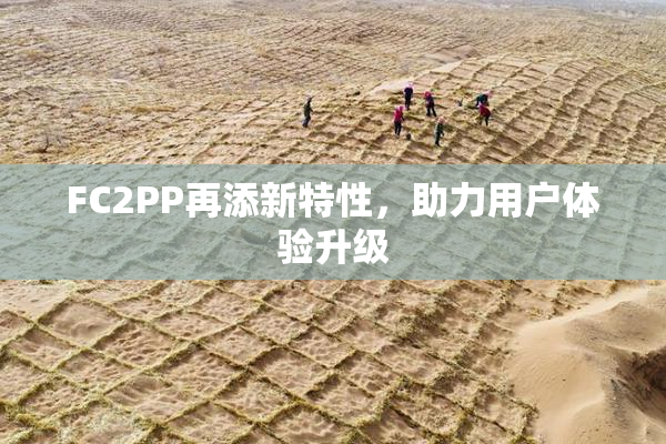 FC2PP再添新特性，助力用户体验升级