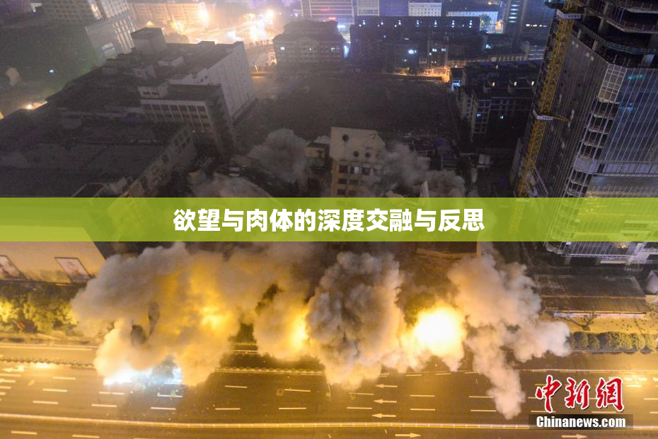 欲望与肉体的深度交融与反思