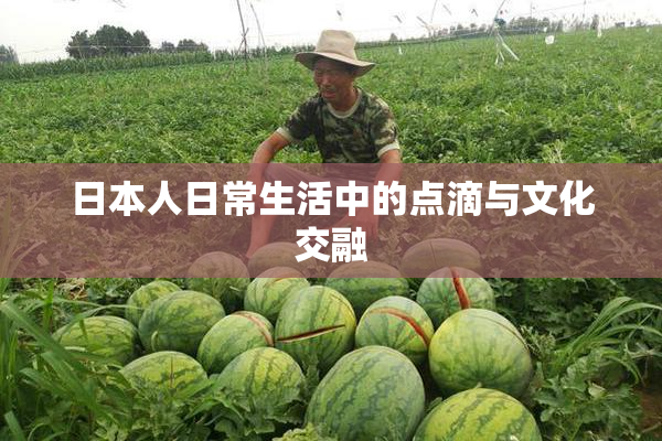 日本人日常生活中的点滴与文化交融