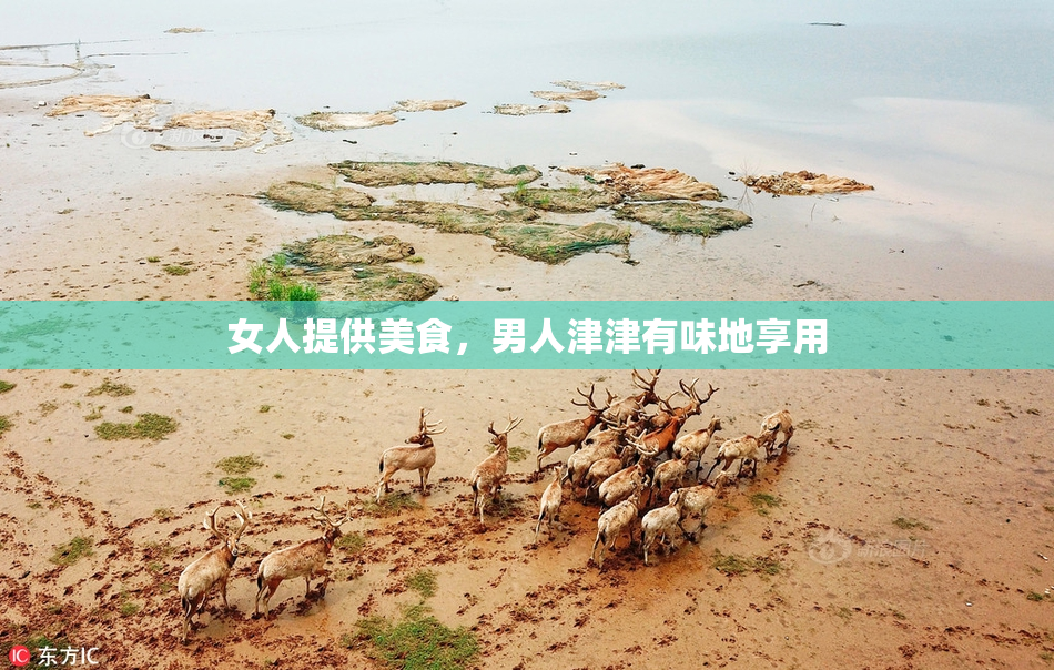 女人提供美食，男人津津有味地享用