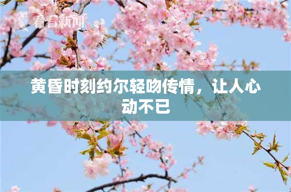 黄昏时刻约尔轻吻传情，让人心动不已