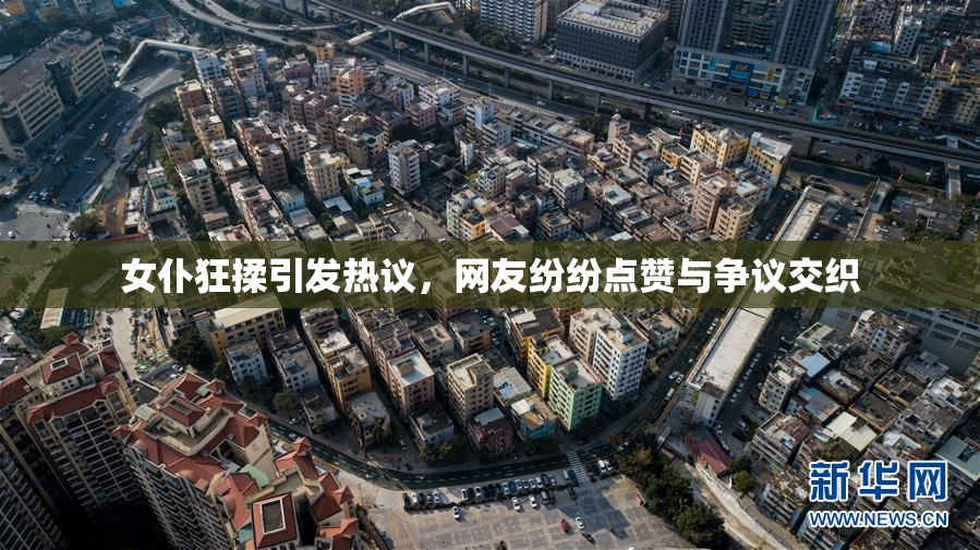 女仆狂揉引发热议，网友纷纷点赞与争议交织